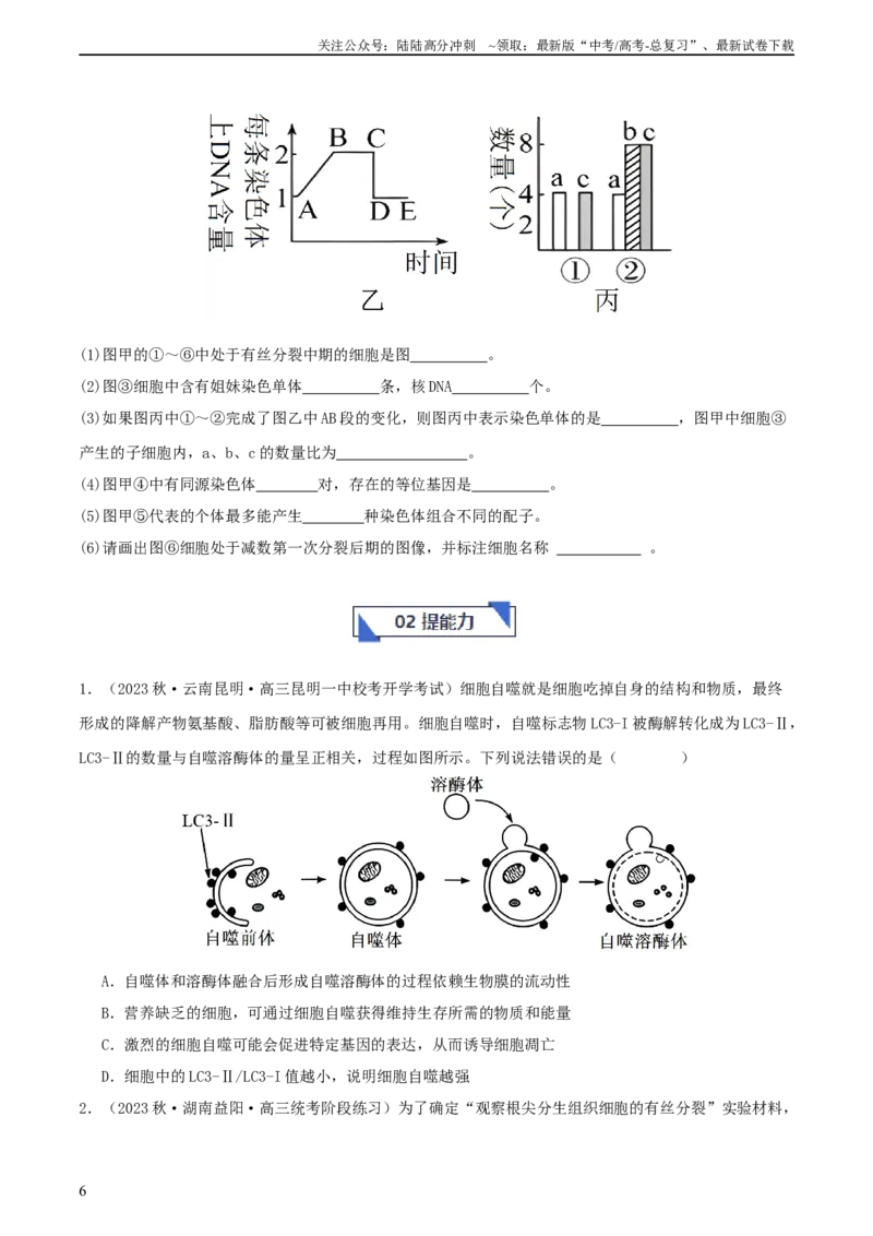 《专题综合练03细胞的生命历程(原卷版)_06-生物-高考总复习_一轮复习_2024年_2024年高考生物一轮复习考点帮（新高考）_必修1》第6页预览