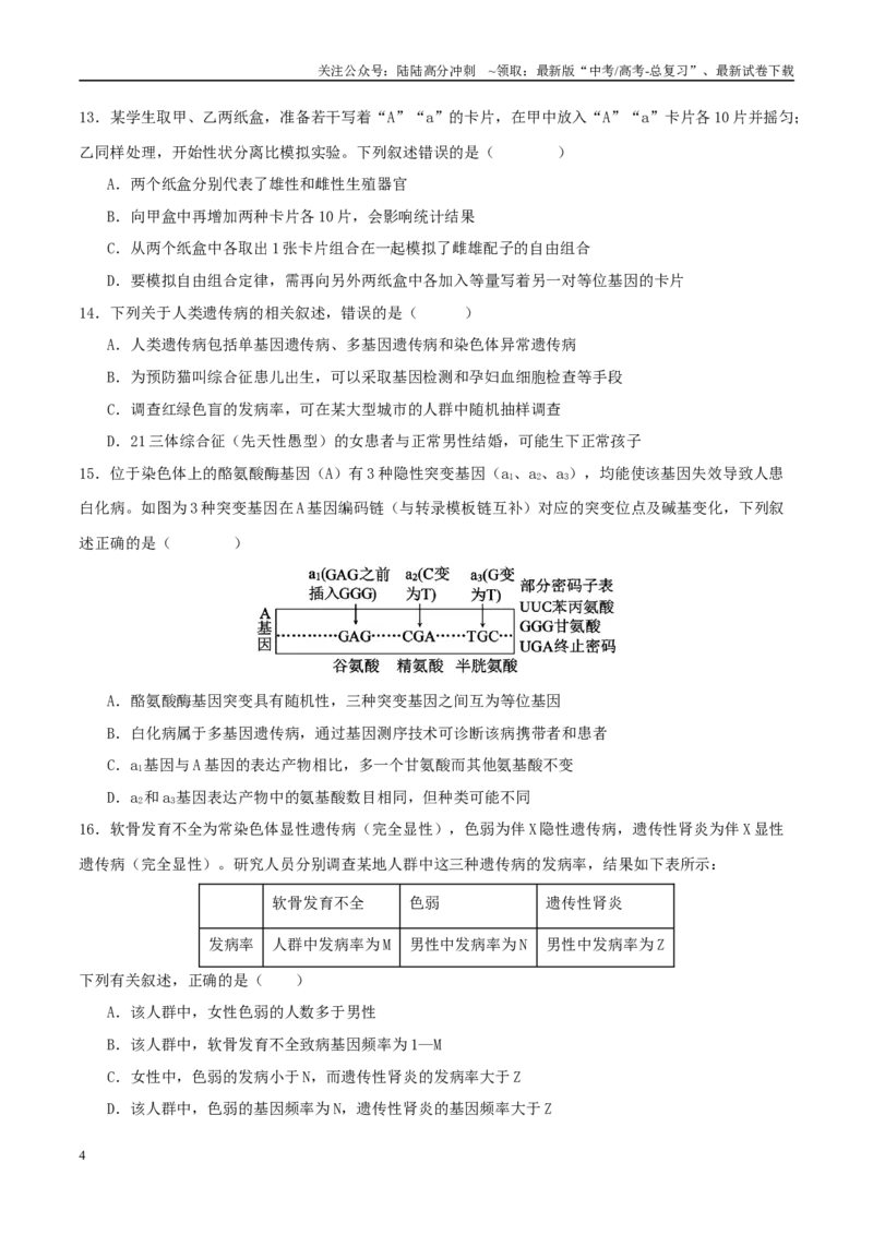 《专题四遗传的基本规律和人类遗传病（学生版）_06-生物-高考总复习_二轮复习_2025年_2025年高考生物二轮复习课件+讲义+练习（新高考通用）》第4页预览