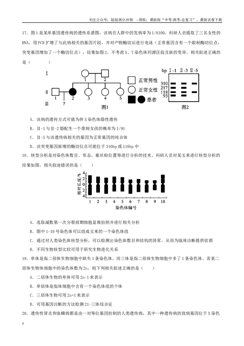 《专题四遗传的基本规律和人类遗传病（学生版）_06-生物-高考总复习_二轮复习_2025年_2025年高考生物二轮复习课件+讲义+练习（新高考通用）》第5页预览