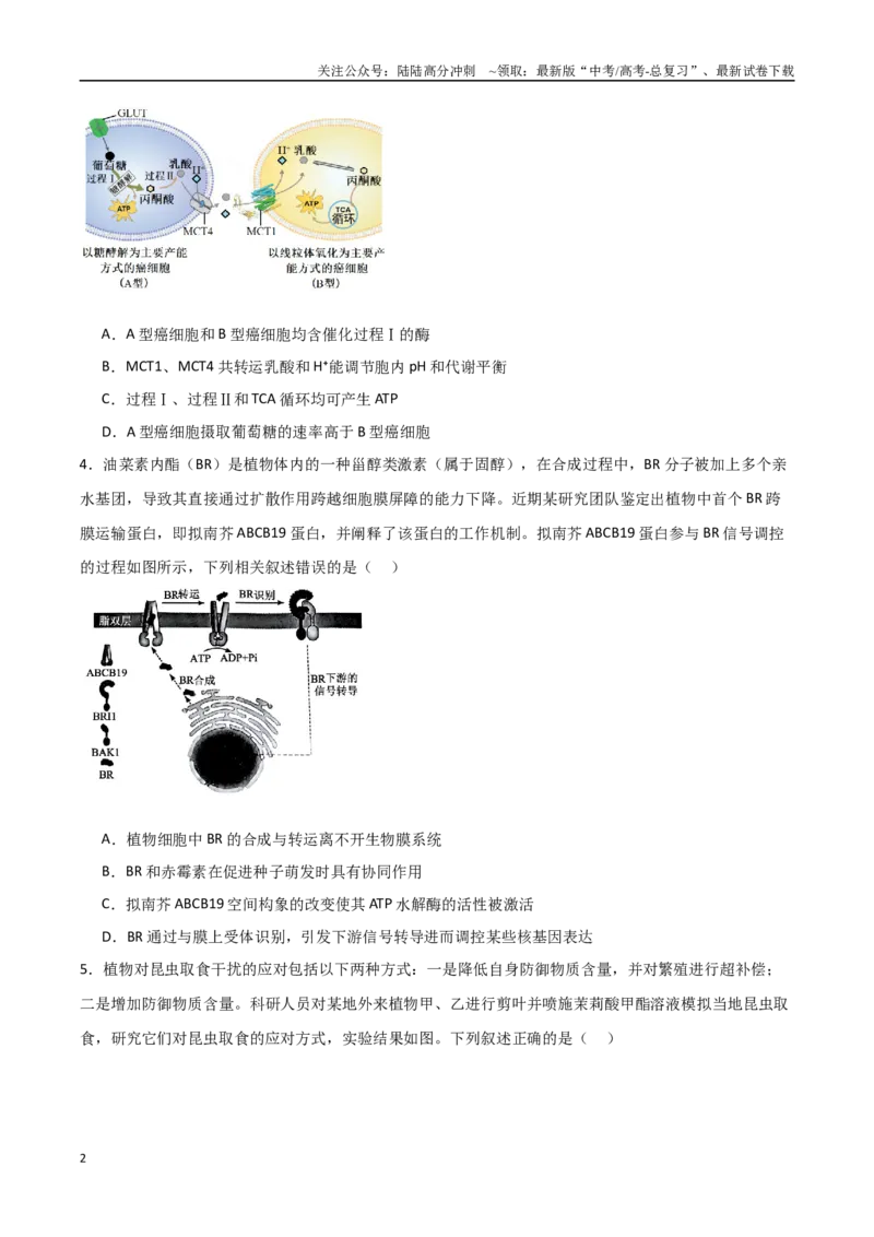 《临考押题卷（安徽专用）（学生版）_06-生物-高考总复习_专项复习_2025年_2025年高考生物抢押秘籍（安徽专用）》第2页预览