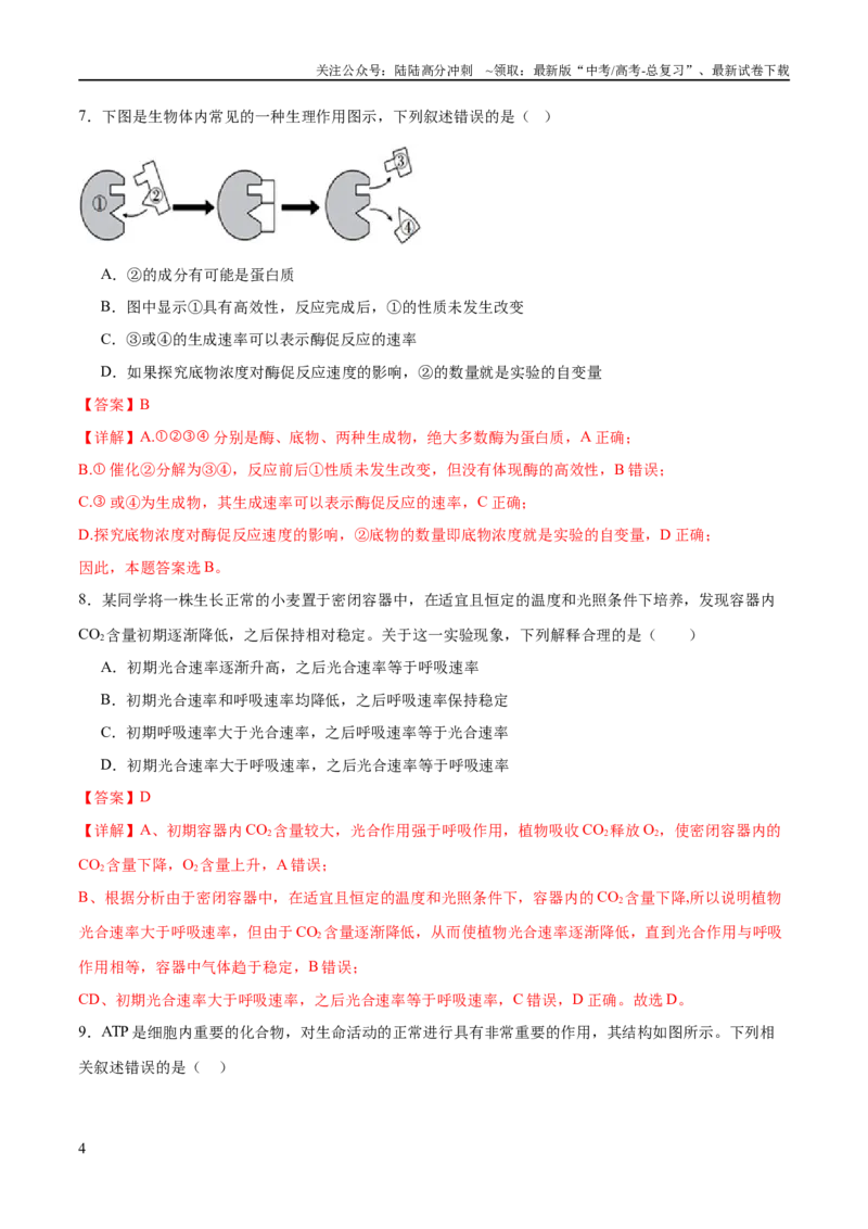 《专题二细胞的能量供应和利用（测试）（解析版）_06-生物-高考总复习_二轮复习_2024年_2024年高考生物二轮复习讲练测（新教材新高考）_配套练习》第4页预览