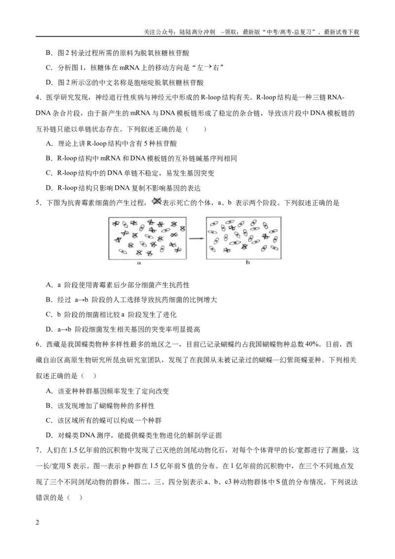 《专题五遗传的分子基础、变异和进化（测试）（原卷版）_06-生物-高考总复习_二轮复习_2024年_2024年高考生物二轮复习讲练测（新教材新高考）_配套练习》第2页预览