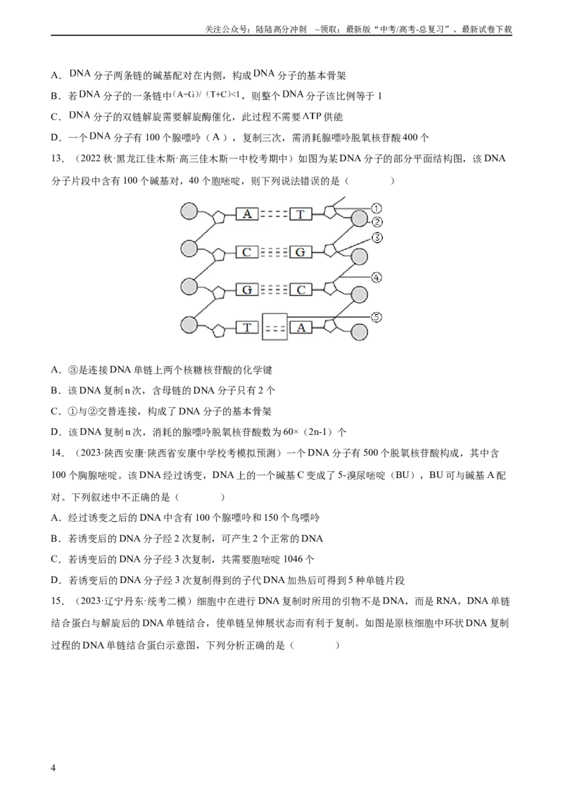 《专题综合练05遗传的分子基础(原卷版)本_06-生物-高考总复习_一轮复习_2024年_2024年高考生物一轮复习考点帮（新高考）_必修2》第4页预览