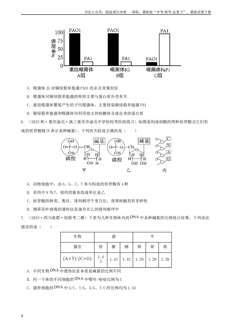 《专题综合练05遗传的分子基础(原卷版)本_06-生物-高考总复习_一轮复习_2024年_2024年高考生物一轮复习考点帮（新高考）_必修2》第9页预览