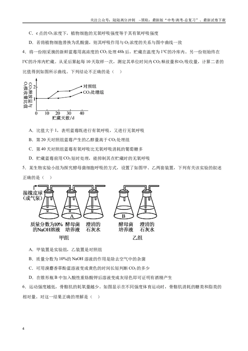 《专题9细胞呼吸（原卷版)_06-生物-高考总复习_一轮复习_2024年_2024年高考生物一轮复习重难点专项突破_资料》第4页预览