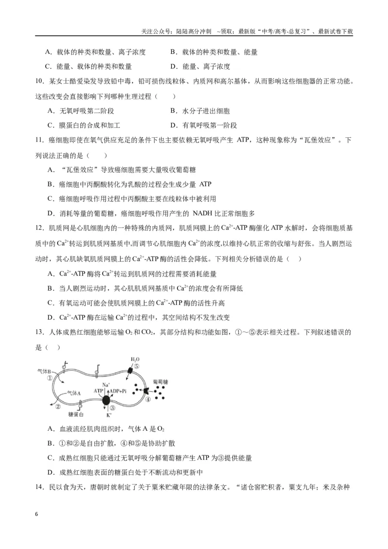《专题9细胞呼吸（原卷版)_06-生物-高考总复习_一轮复习_2024年_2024年高考生物一轮复习重难点专项突破_资料》第6页预览