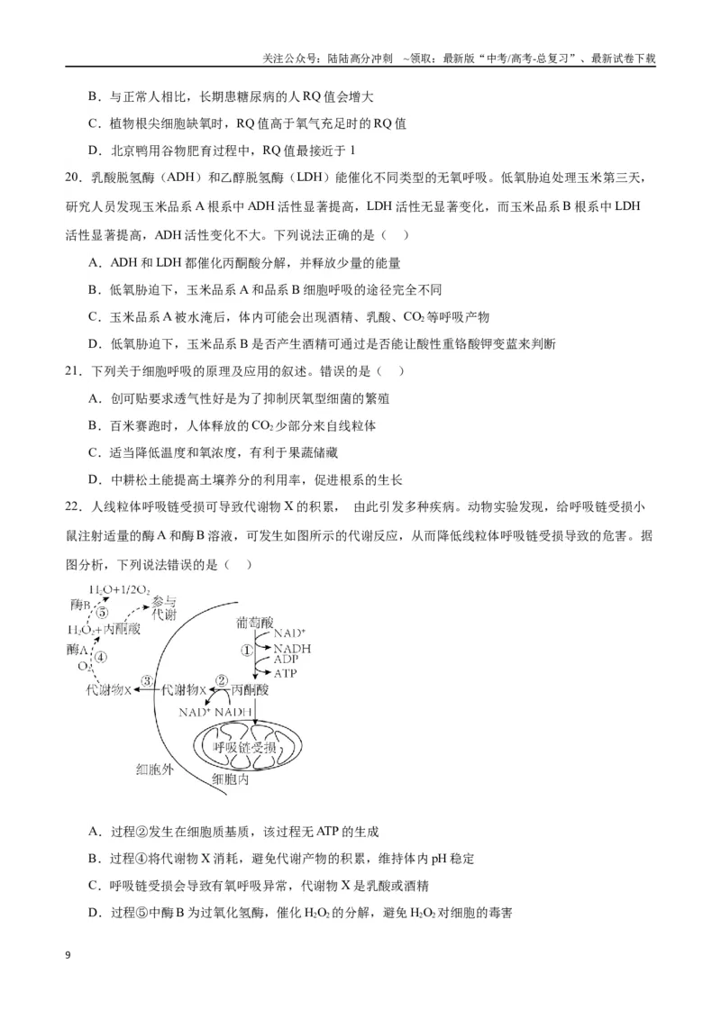 《专题9细胞呼吸（原卷版)_06-生物-高考总复习_一轮复习_2024年_2024年高考生物一轮复习重难点专项突破_资料》第9页预览