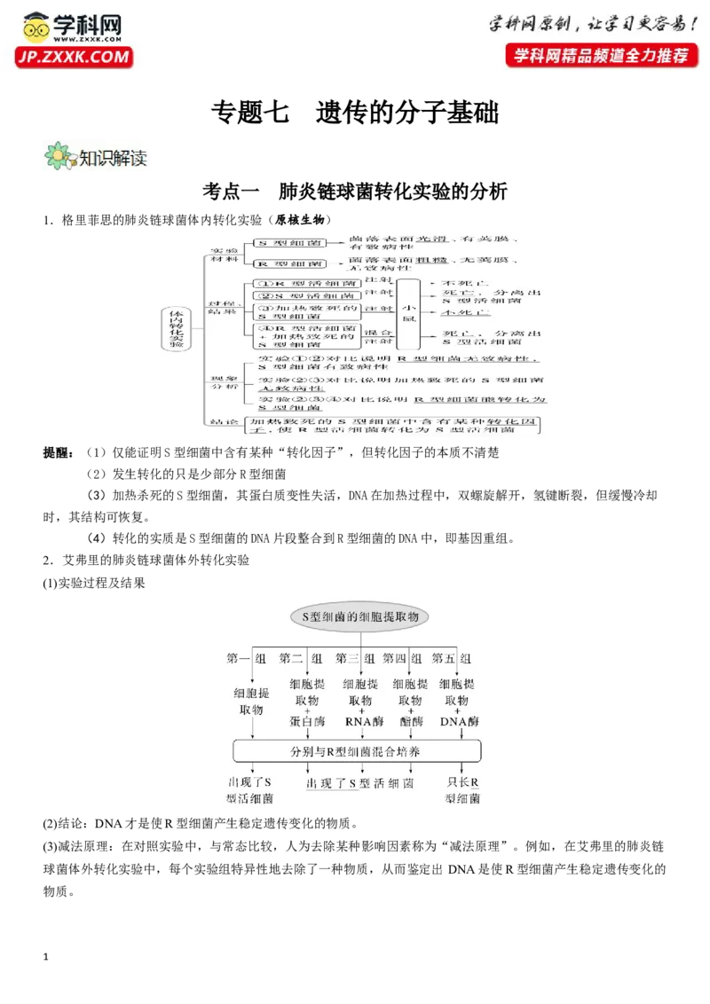 《专题七遗传分子的基础（解析版）_06-生物-高考总复习_二轮复习_2024年_2024年高考生物二轮复习专题攻略（新教材新高考）_资料》第1页预览