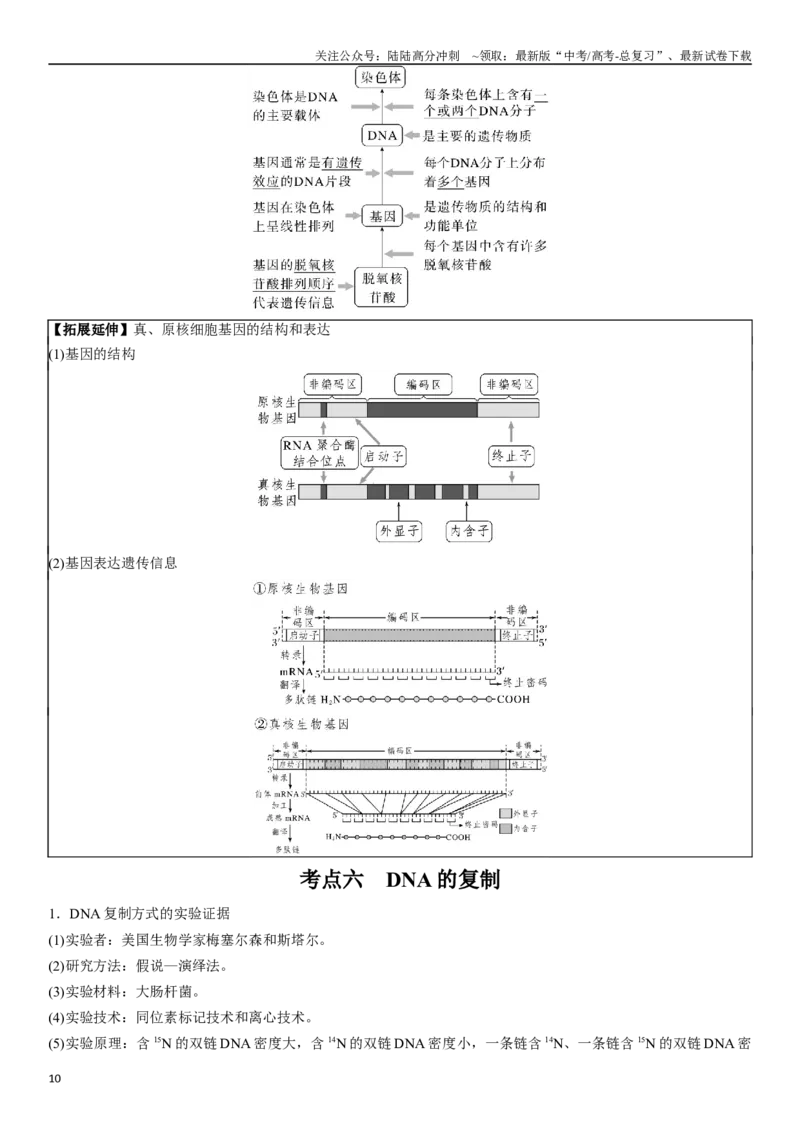 《专题七遗传分子的基础（解析版）_06-生物-高考总复习_二轮复习_2024年_2024年高考生物二轮复习专题攻略（新教材新高考）_资料》第10页预览