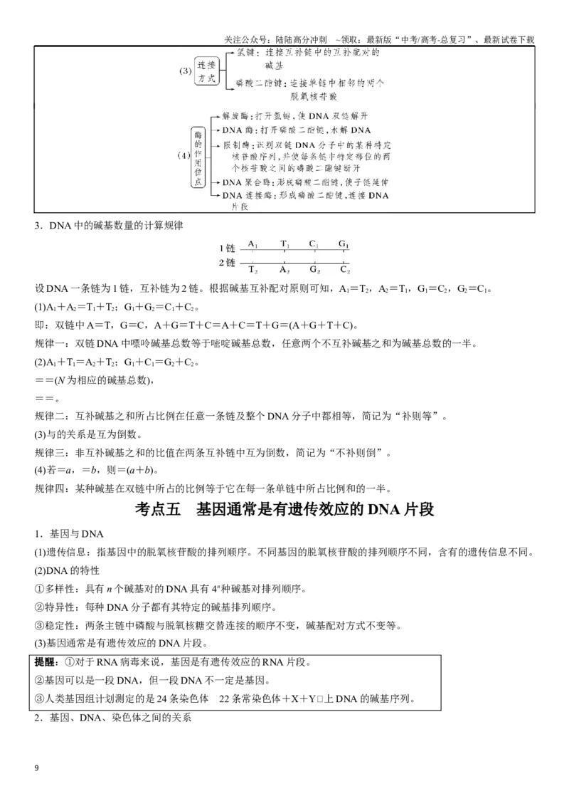 《专题七遗传分子的基础（解析版）_06-生物-高考总复习_二轮复习_2024年_2024年高考生物二轮复习专题攻略（新教材新高考）_资料》第9页预览