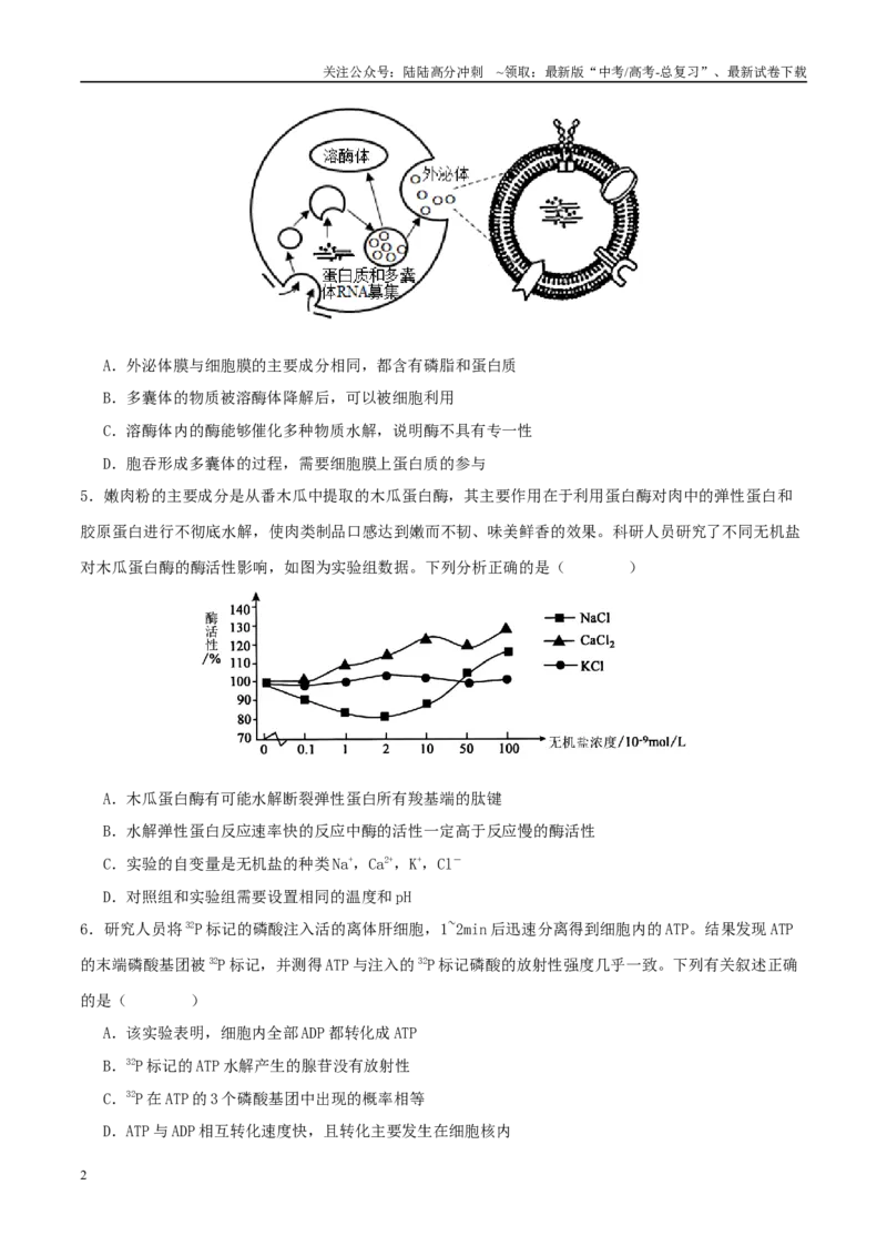 《专题二细胞的能量供应和利用（学生版）_06-生物-高考总复习_二轮复习_2025年_2025年高考生物二轮复习课件+讲义+练习（新高考通用）》第2页预览