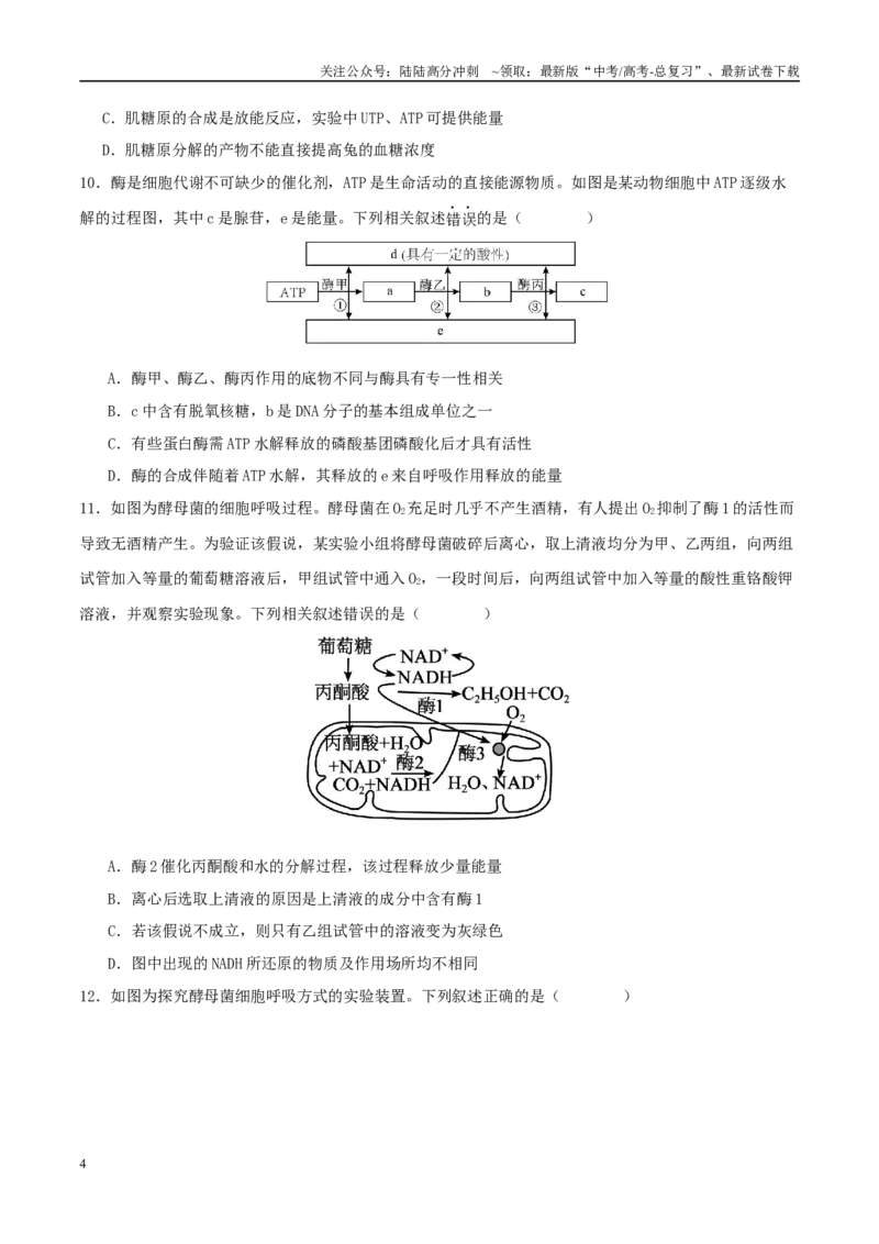 《专题二细胞的能量供应和利用（学生版）_06-生物-高考总复习_二轮复习_2025年_2025年高考生物二轮复习课件+讲义+练习（新高考通用）》第4页预览