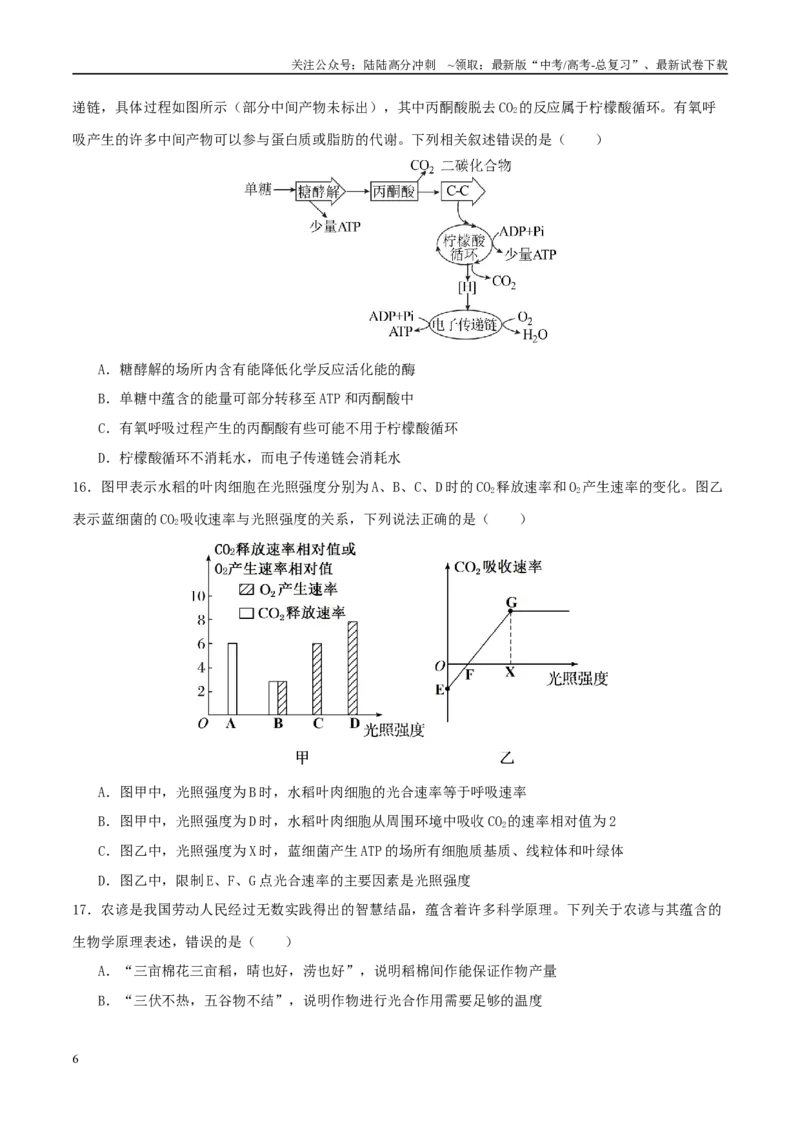 《专题二细胞的能量供应和利用（学生版）_06-生物-高考总复习_二轮复习_2025年_2025年高考生物二轮复习课件+讲义+练习（新高考通用）》第6页预览