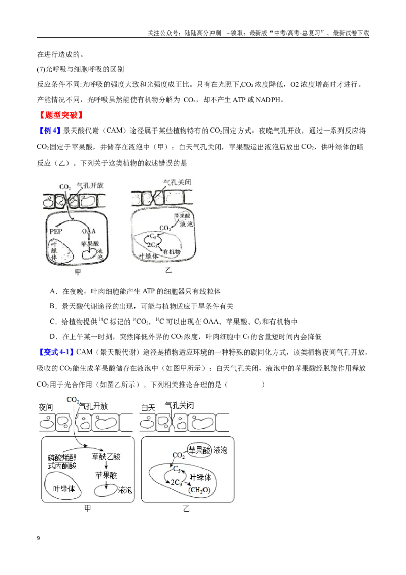 《专题二细胞代谢（学生版）-22页_06-生物-高考总复习_二轮复习_2025年_2025年高考生物二轮重点专题讲义（新高考通用）_资料》第9页预览
