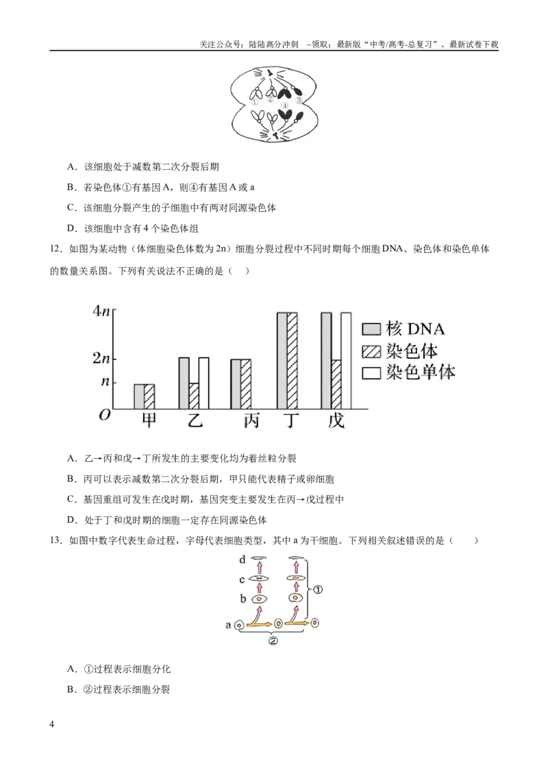 《专题三细胞的生命历程（测试）（原卷版）_06-生物-高考总复习_二轮复习_2024年_2024年高考生物二轮复习讲练测（新教材新高考）_配套练习》第4页预览