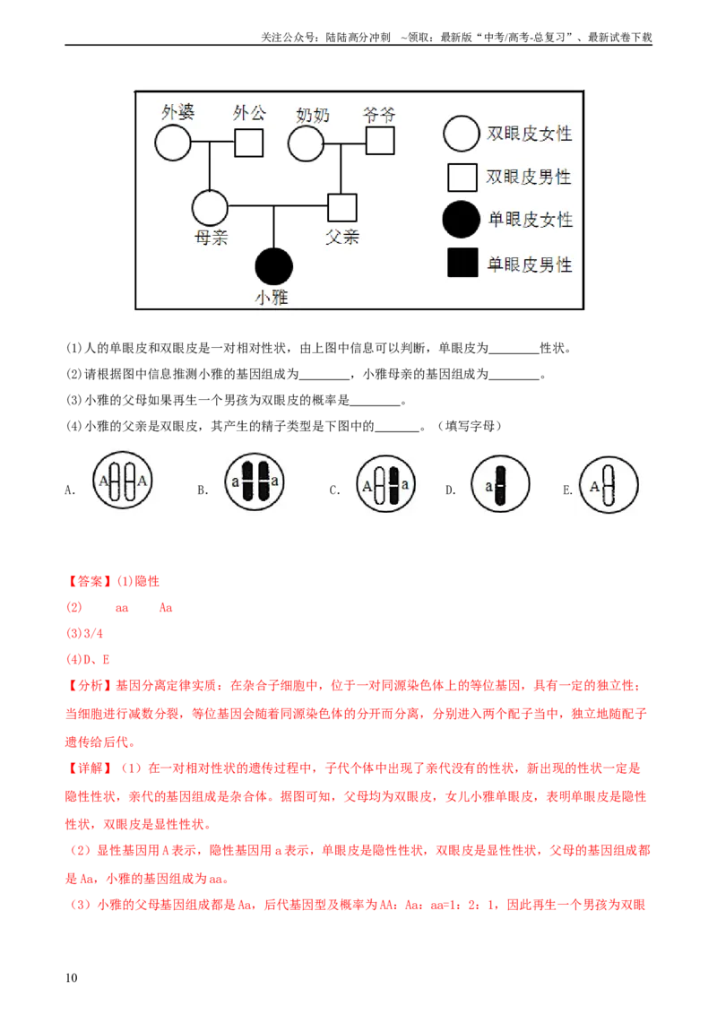 《专题综合练04遗传规律及其应用(解析版)_06-生物-高考总复习_一轮复习_2024年_2024年高考生物一轮复习考点帮（新高考）_必修2》第10页预览