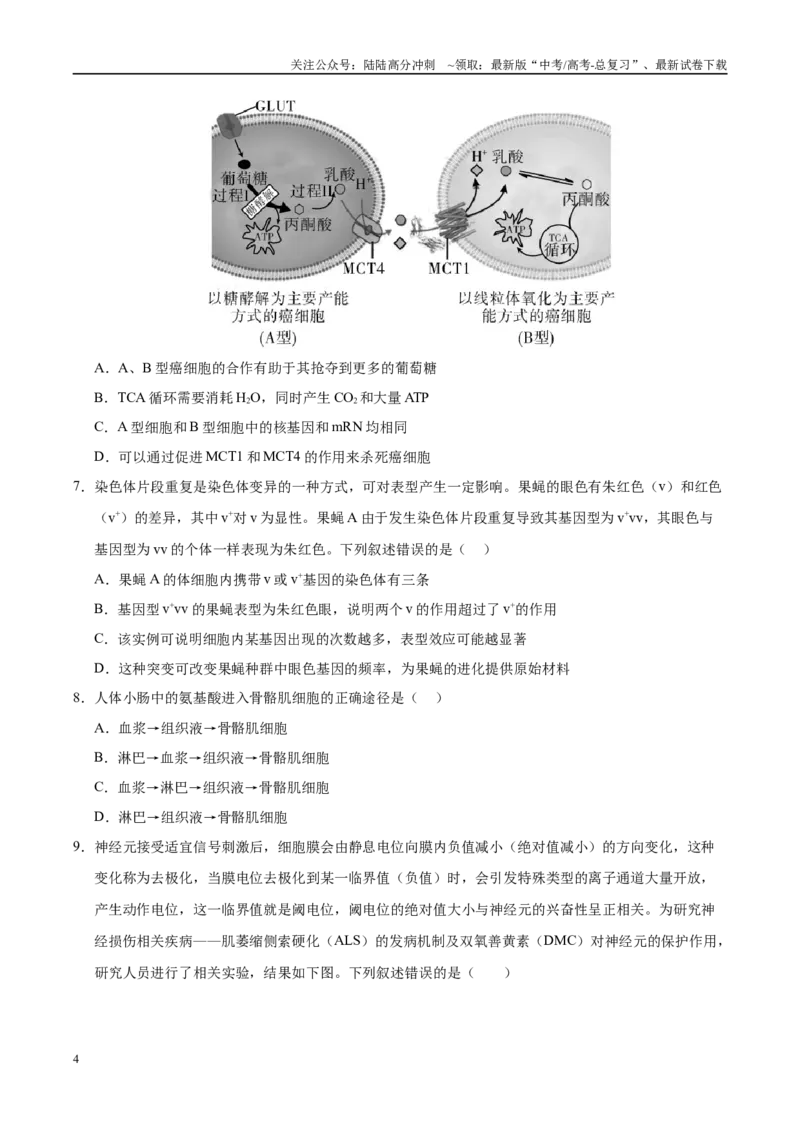 《信息必刷卷01（陕西、山西、宁夏、青海专用）（学生版）_06-生物-高考总复习_专项复习_2025年_2025年高考考前必刷题（多地区）生物》第4页预览