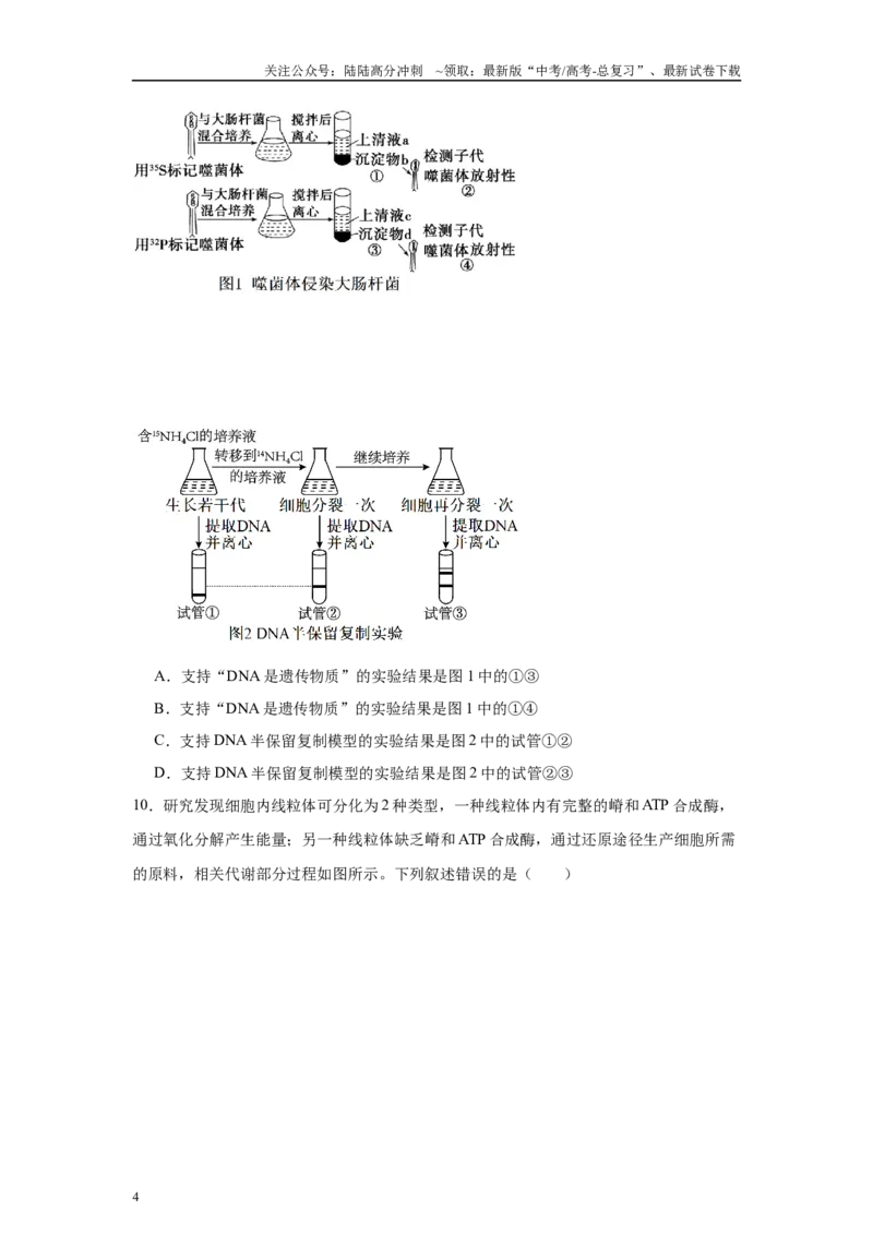 《信息必刷卷04（安徽专用）学生版_06-生物-高考总复习_专项复习_2025年_2025年高考考前必刷题（多地区）生物_2025年高考生物考前必刷卷（安徽专用）5套》第4页预览