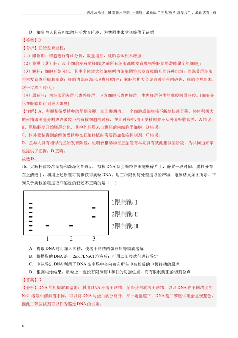 《单元检测卷10生物技术与工程（教师版）_06-生物-高考总复习_一轮复习_2025年_2025年高考生物一轮复习考点复习卷（新高考通用）》第10页预览