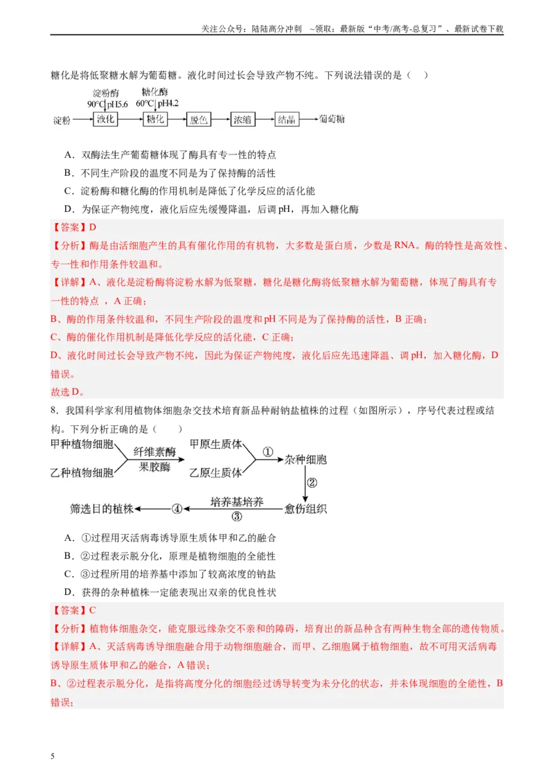 《单元检测卷10生物技术与工程（教师版）_06-生物-高考总复习_一轮复习_2025年_2025年高考生物一轮复习考点复习卷（新高考通用）》第5页预览