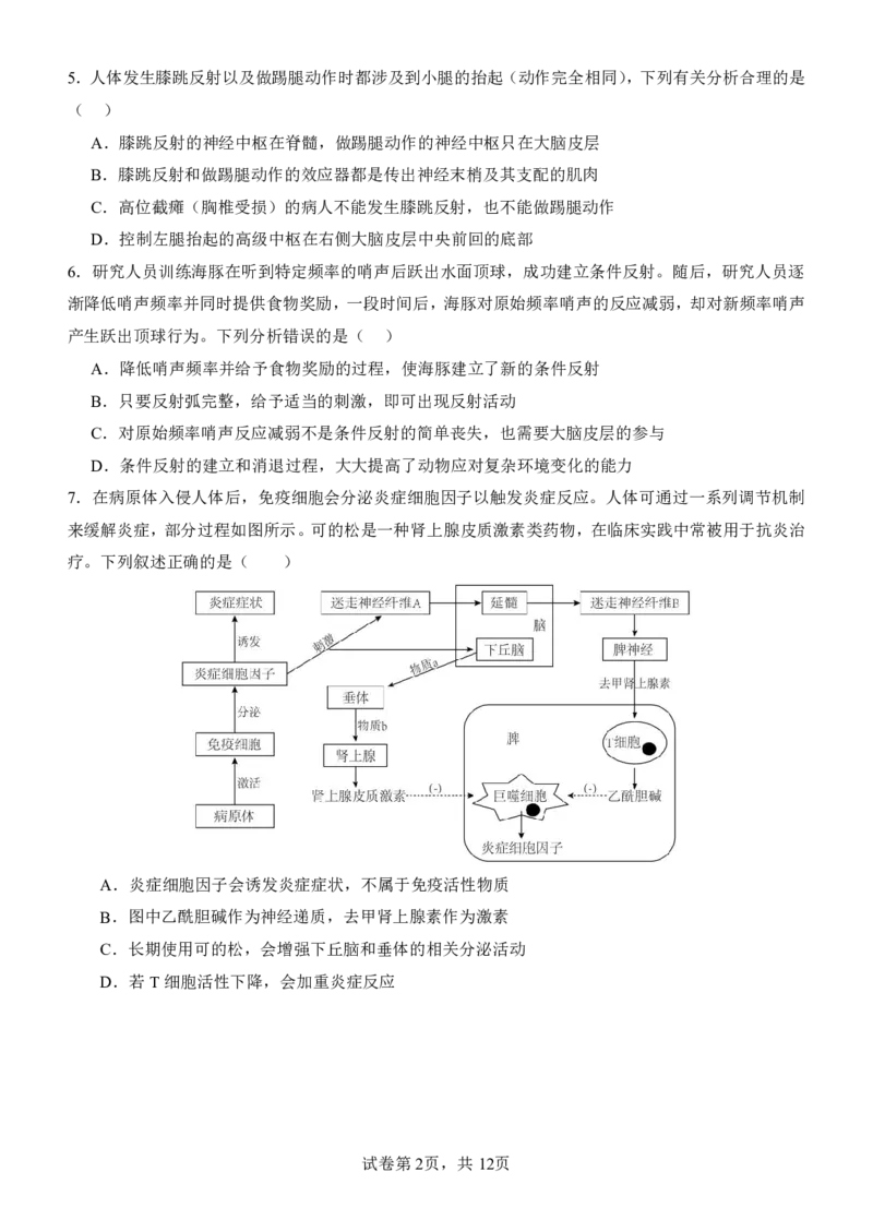 《月2试卷_2026年高二《月考+期中考+阶段性检测真题合集》全国各省全科无水印_云南省玉溪第一中学2025-2026学年高二上学期12月第二次月考试题（全）》第2页预览