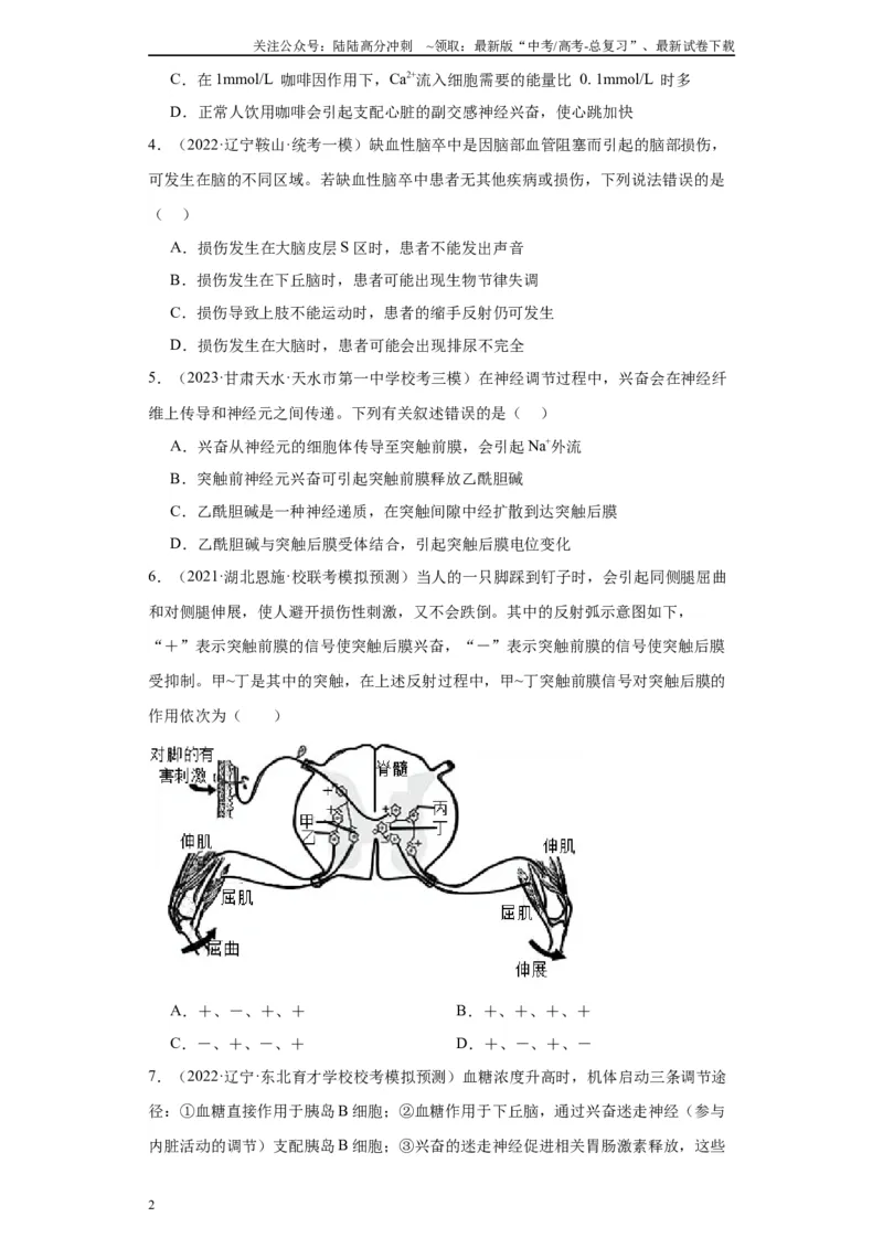 《单元检测卷七生命活动的调节（解析版）_06-生物-高考总复习_一轮复习_2024年_2024年高考生物一轮复习精讲精练_资料》第2页预览