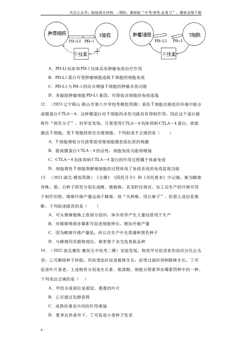 《单元检测卷七生命活动的调节（解析版）_06-生物-高考总复习_一轮复习_2024年_2024年高考生物一轮复习精讲精练_资料》第4页预览