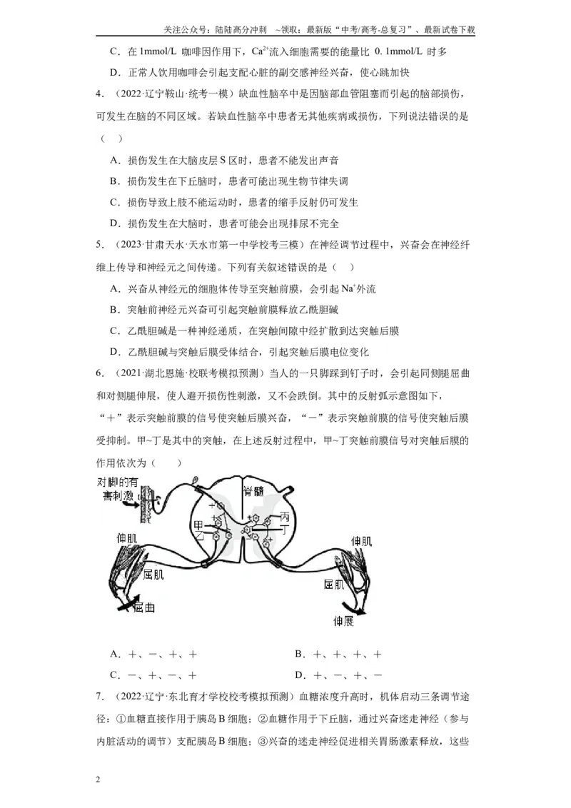 《单元检测卷七生命活动的调节（原卷版）_06-生物-高考总复习_一轮复习_2024年_2024年高考生物一轮复习精讲精练_资料》第2页预览
