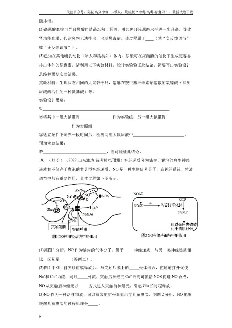 《单元检测卷七生命活动的调节（原卷版）_06-生物-高考总复习_一轮复习_2024年_2024年高考生物一轮复习精讲精练_资料》第6页预览