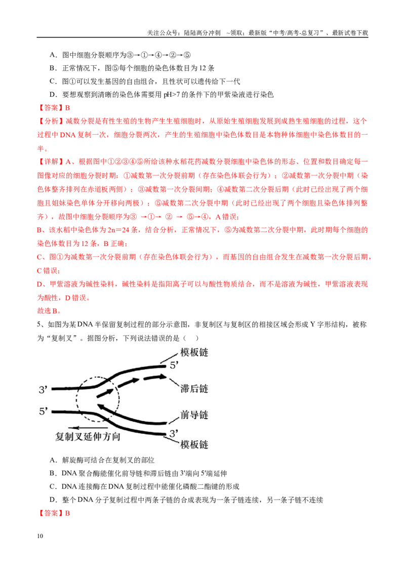 《信息必刷卷05（江苏专用）（教师版）_06-生物-高考总复习_专项复习_2025年_2025年高考考前必刷题（多地区）生物_2025年高考生物考前必刷卷（江苏专用）5套》第4页预览