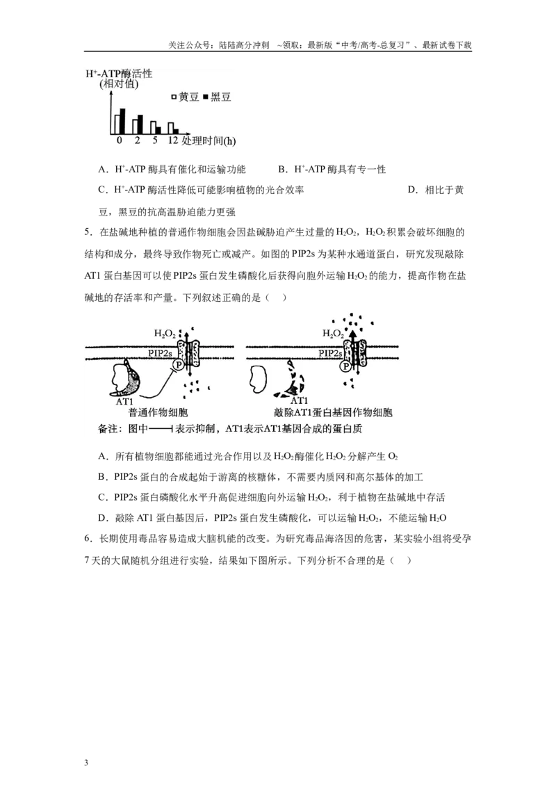 《信息必刷卷03（新高考通用）学生版_06-生物-高考总复习_专项复习_2025年_2025年高考考前必刷题（多地区）生物_2025年高考生物考前必刷卷（新高考通用）5套》第3页预览