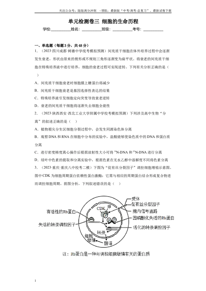 《单元检测卷三细胞的生命历程（原卷版）_06-生物-高考总复习_一轮复习_2024年_2024年高考生物一轮复习精讲精练_资料》第1页预览