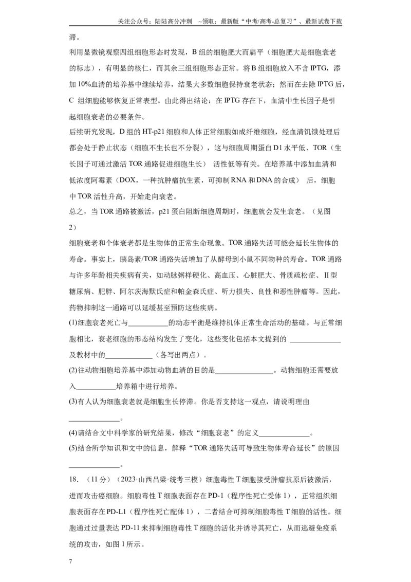 《单元检测卷三细胞的生命历程（原卷版）_06-生物-高考总复习_一轮复习_2024年_2024年高考生物一轮复习精讲精练_资料》第7页预览