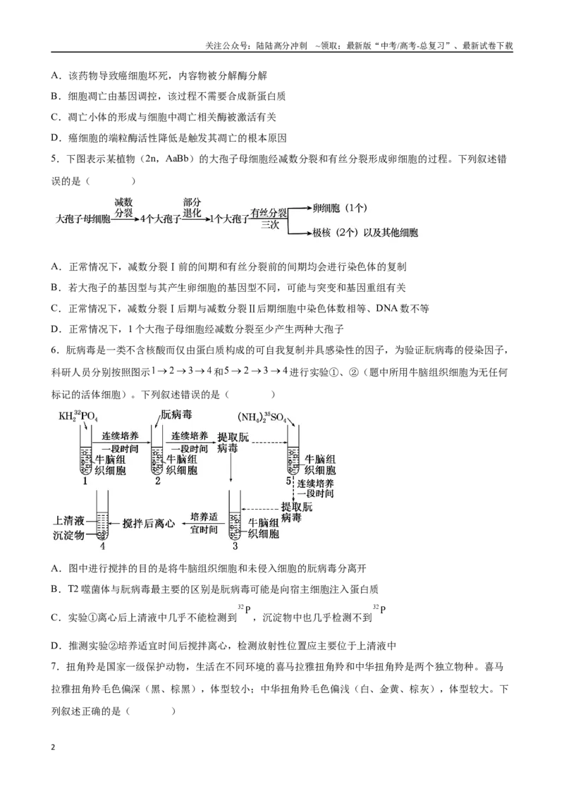 《仿真模拟预测卷（学生版）_06-生物-高考总复习_专项复习_2025年_2025年高考生物大题突破+限时集训（新高考通用）》第2页预览