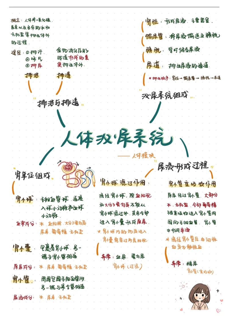 《24初一春下第三讲人体内废物排出笔记-321eae3eccc8_学而思初中1年级_2024春下初一_初一生物培训班（春下·全国版·A+）_讲义及拓展资料》第1页预览