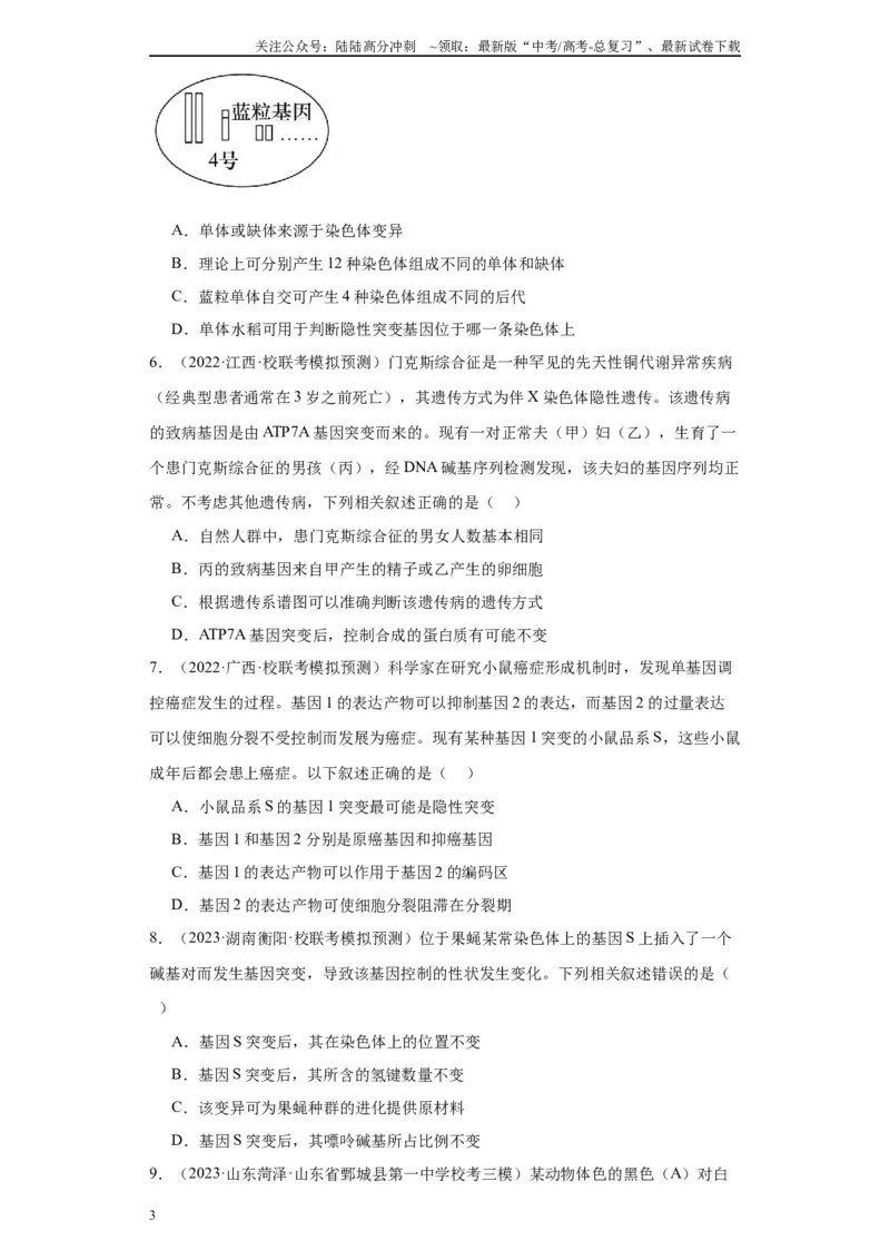 《单元检测卷六生物变异与进化(原卷版）_06-生物-高考总复习_一轮复习_2024年_2024年高考生物一轮复习精讲精练_资料》第3页预览