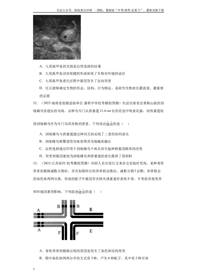 《单元检测卷六生物变异与进化(原卷版）_06-生物-高考总复习_一轮复习_2024年_2024年高考生物一轮复习精讲精练_资料》第5页预览