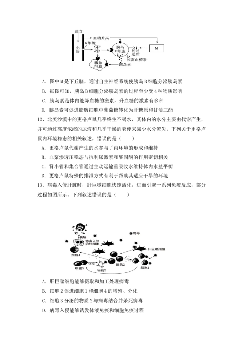《2025—2026学年度第一学期练习2高二生物学_2026年高二《月考+期中考+阶段性检测真题合集》全国各省全科无水印_安徽省庐巢联盟2025-2026学年高二上学期第二次月考》第4页预览