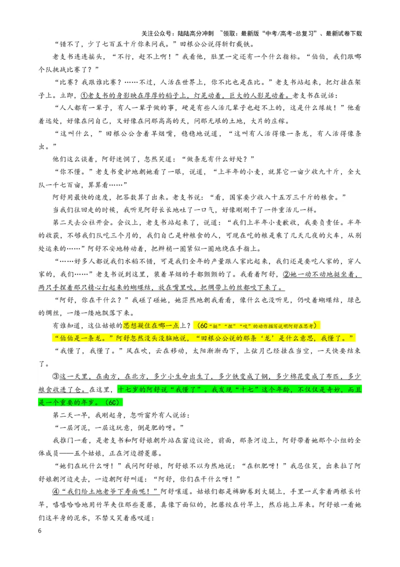 《合肥市普通高中六校联盟届高三第一学期期末联考语文试卷（彩色标注版）_专项复习_2024年_2024年高考语文备考：各省市模拟试卷彩色批注解析宝鉴_资料》第6页预览