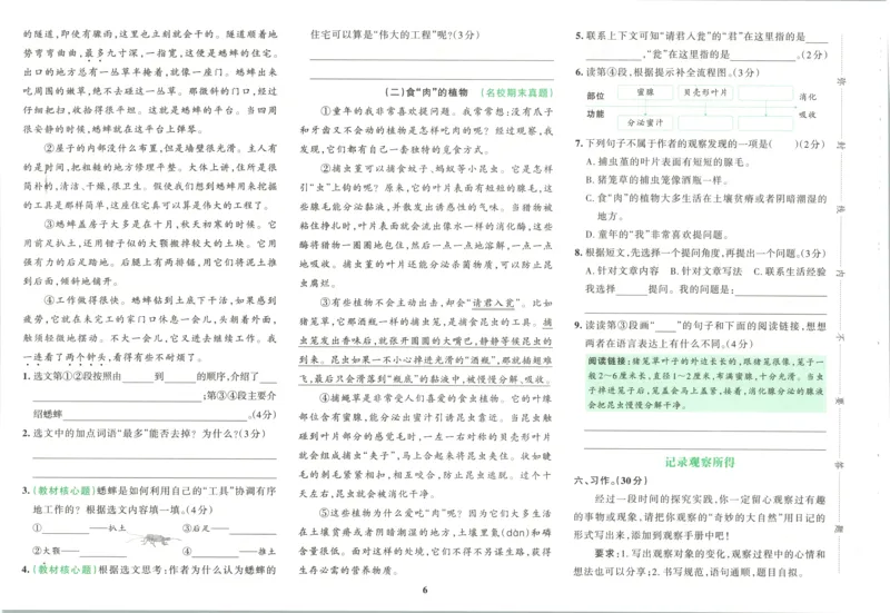 《26秋4上语文《小学学霸冲A卷》试卷_2027版小学《小学学霸冲A卷》46年级上（语文）（人教）》第9页预览