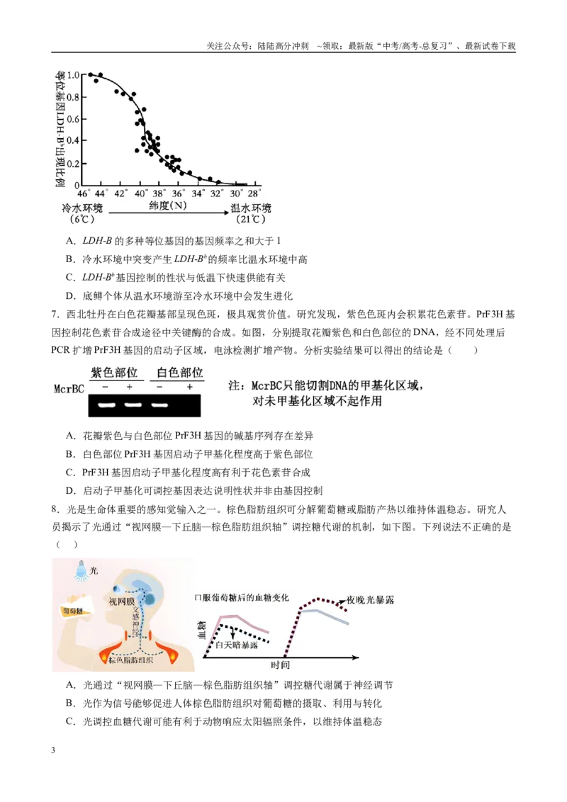 《信息必刷卷05（安徽专用）学生版-_06-生物-高考总复习_专项复习_2025年_2025年高考考前必刷题（多地区）生物_2025年高考生物考前必刷卷（安徽专用）5套》第3页预览