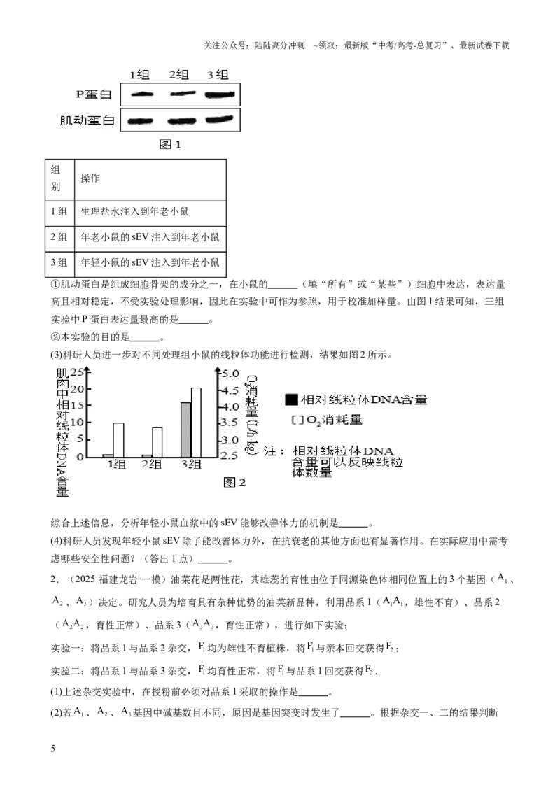 《压轴题06实验专题（原卷版）_06-生物-高考总复习_三轮冲刺_压轴题2025年高考生物压轴题攻略》第5页预览