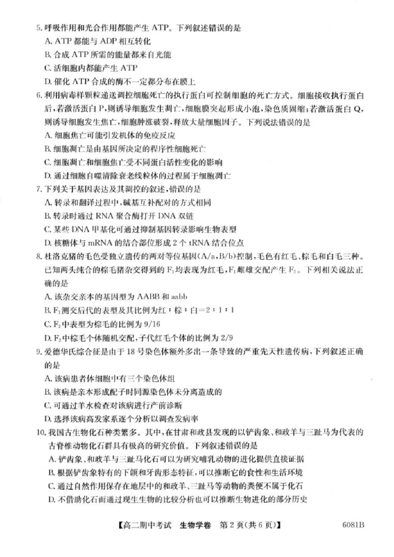 《南宁4+N联盟2025秋季期中高二生物试卷_20272025-2026学年高二上学期《期中考试试卷合集》全国多省全科(78套)_251227广西南宁市“4+N”联盟学校2025-2026学年高二上学期期中考试(全)》第2页预览