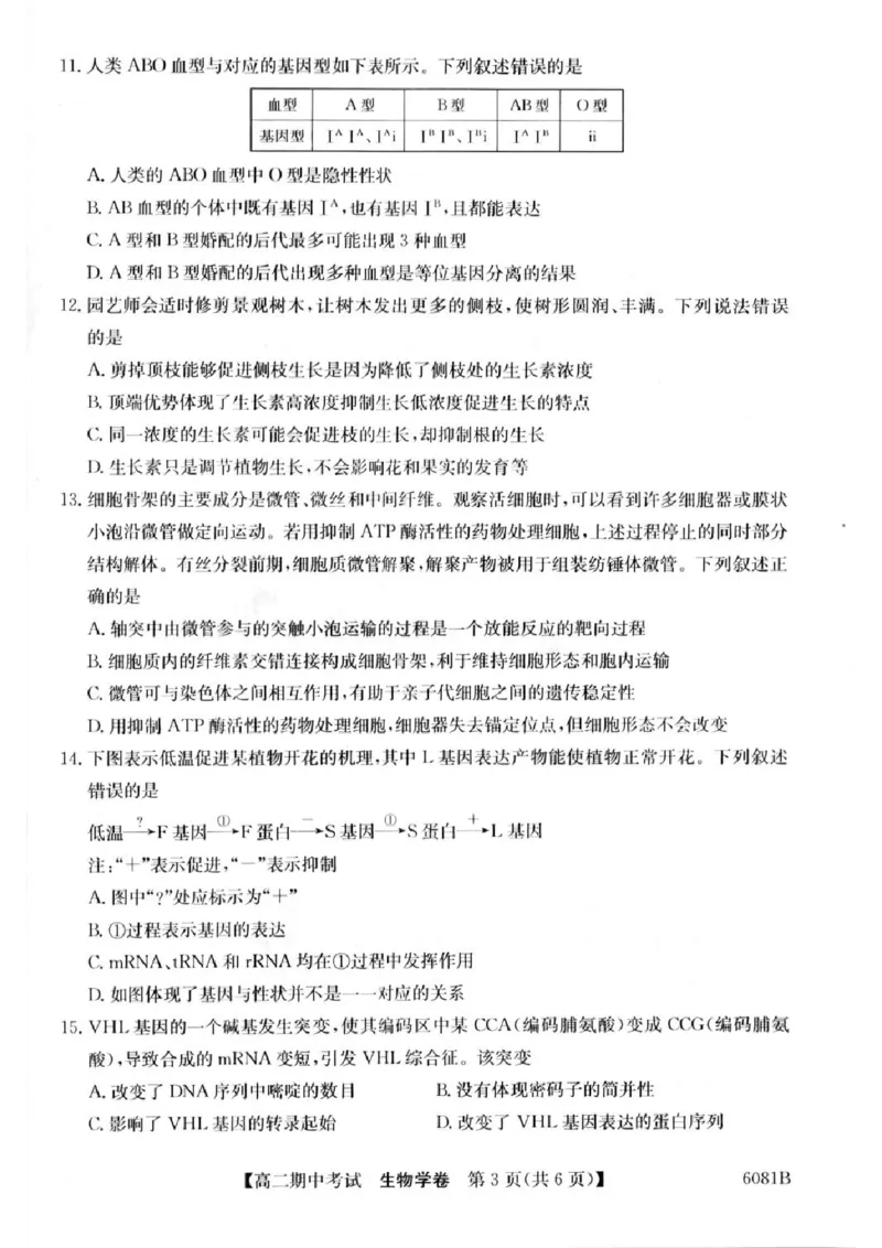 《南宁4+N联盟2025秋季期中高二生物试卷_20272025-2026学年高二上学期《期中考试试卷合集》全国多省全科(78套)_251227广西南宁市“4+N”联盟学校2025-2026学年高二上学期期中考试(全)》第3页预览