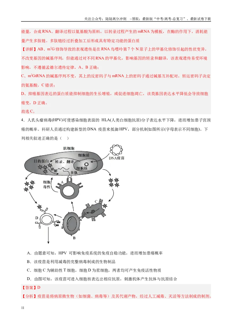 《信息必刷卷02（新课标卷，新疆、西藏专用）教师版_06-生物-高考总复习_专项复习_2025年_2025年高考考前必刷题（多地区）生物_2025年高考生物考前必刷卷（新课标卷，新疆、西藏专用）2套》第5页预览