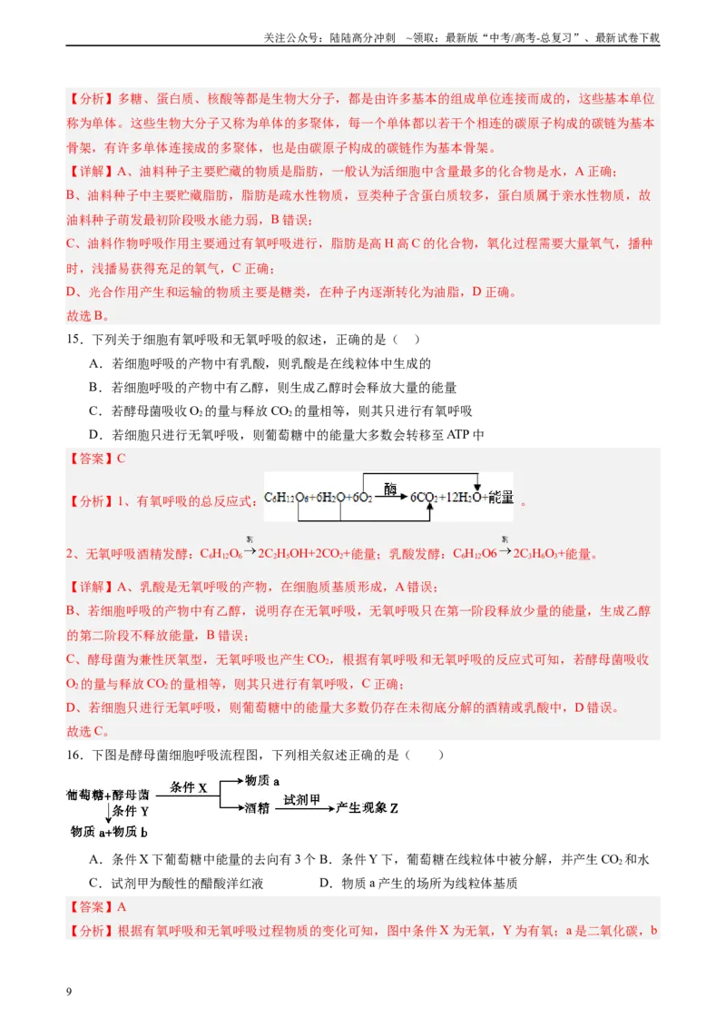 《单元检测卷03细胞的能量供应和利用（教师版）_06-生物-高考总复习_一轮复习_2025年_2025年高考生物一轮复习考点复习卷（新高考通用）》第9页预览