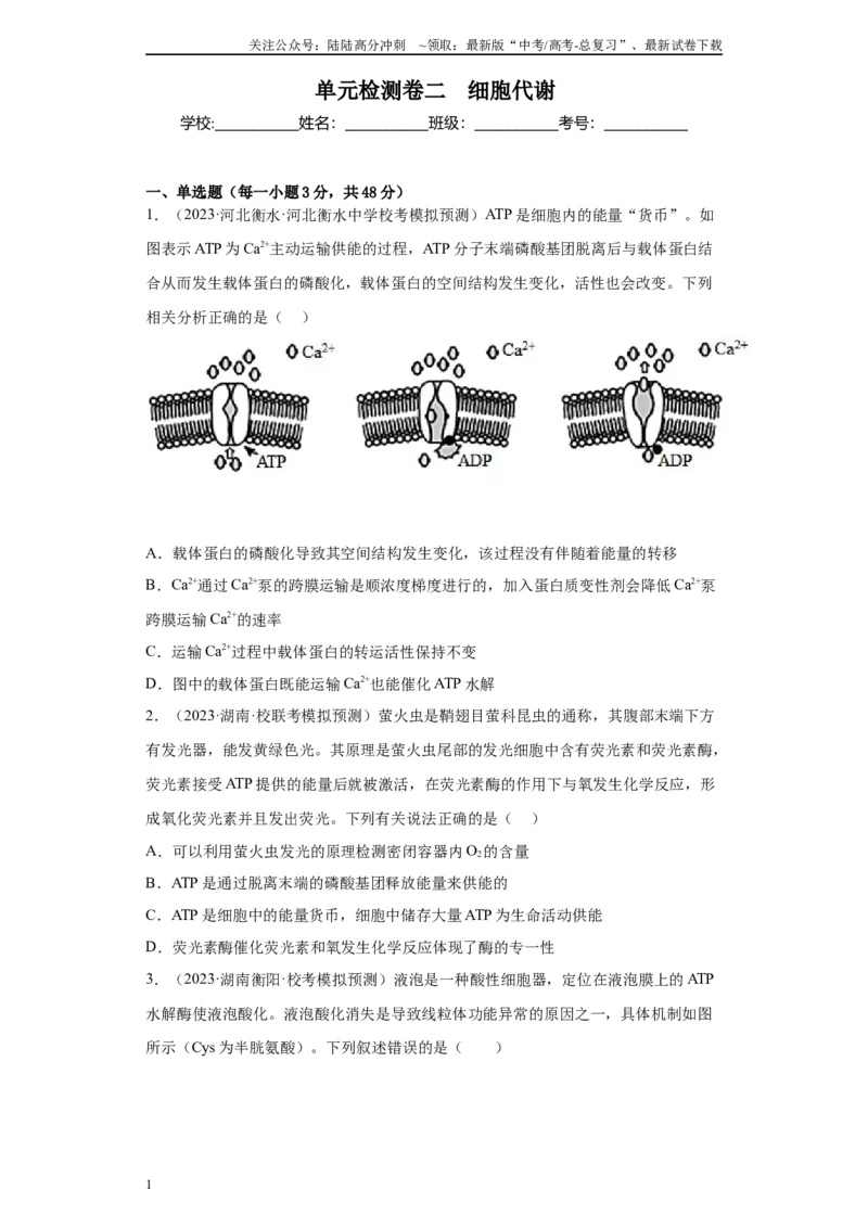 《单元检测卷二细胞代谢（解析版）_06-生物-高考总复习_一轮复习_2024年_2024年高考生物一轮复习精讲精练_资料》第1页预览