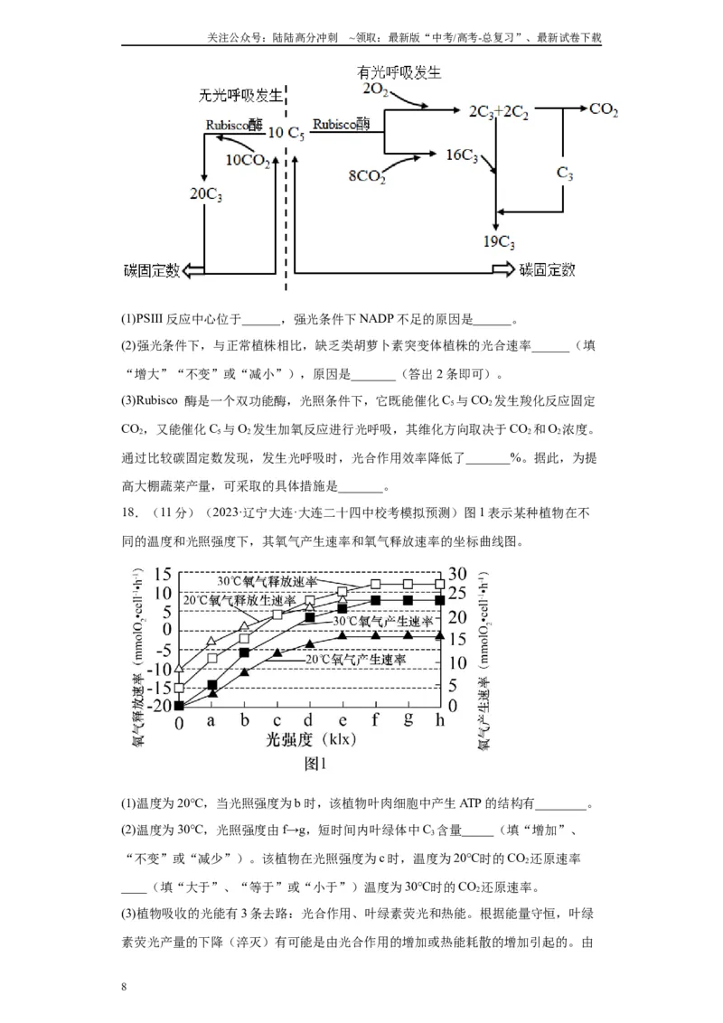 《单元检测卷二细胞代谢（解析版）_06-生物-高考总复习_一轮复习_2024年_2024年高考生物一轮复习精讲精练_资料》第8页预览
