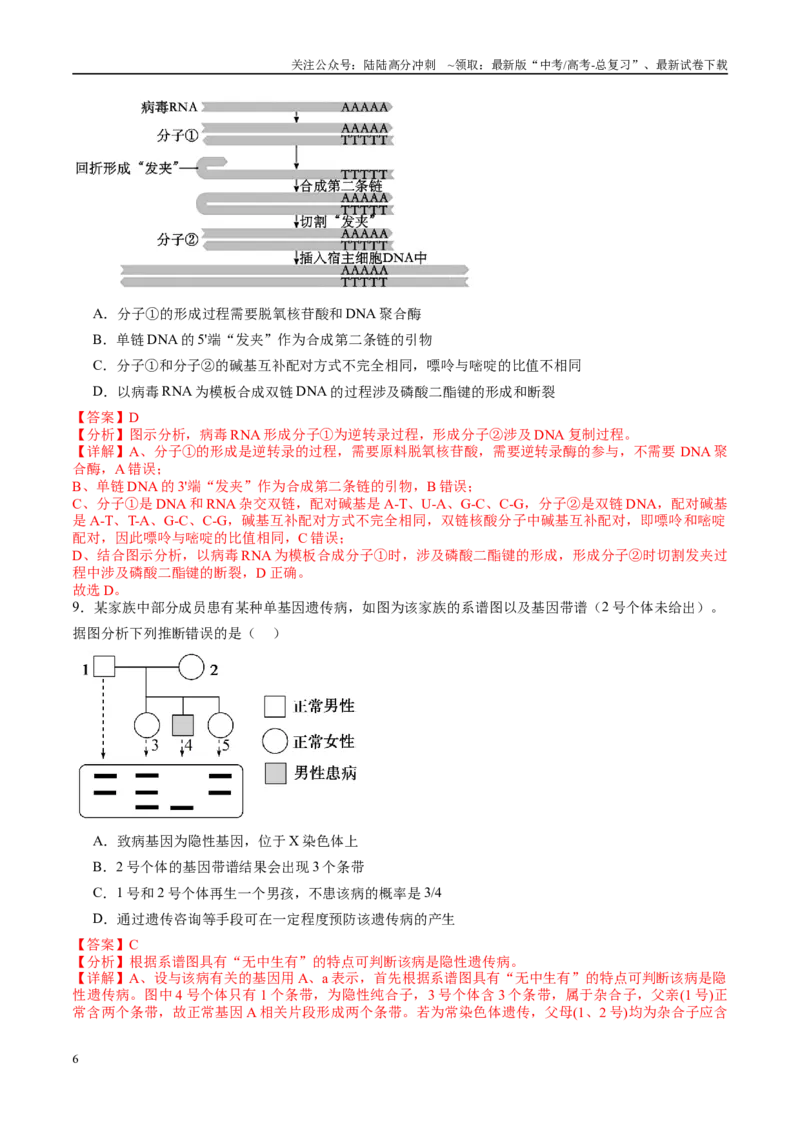 《信息必刷卷02（新高考通用，15+5）教师版_06-生物-高考总复习_专项复习_2025年_2025年高考考前必刷题（多地区）生物_2025年高考生物考前必刷卷（新高考通用）5套》第6页预览