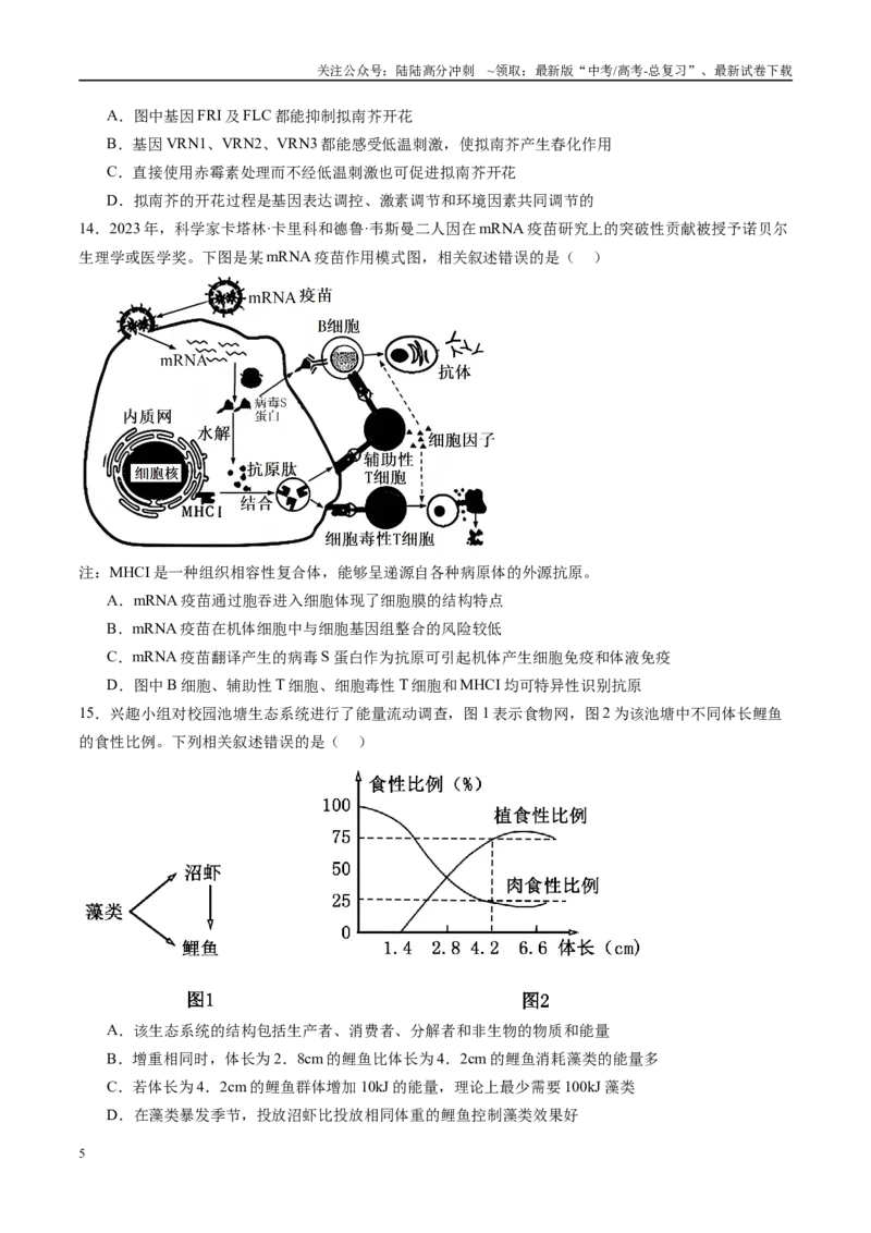 《信息必刷卷05（广东专用）（学生版）_06-生物-高考总复习_专项复习_2025年_2025年高考考前必刷题（多地区）生物_2025年高考生物考前必刷卷（广东专用）5套》第5页预览